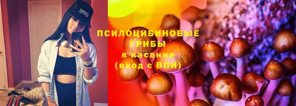 молекула духа Абинск