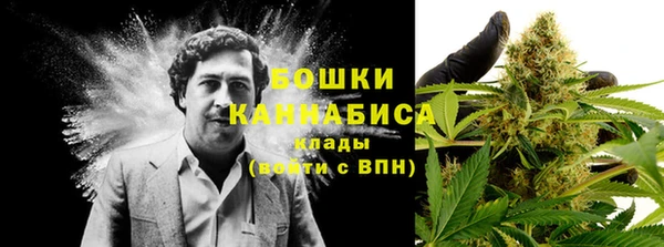 стафф Абаза