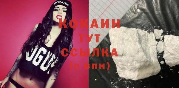 молекула духа Абинск