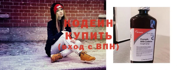 шишки Пересвет
